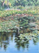 Beaver Lake Lily Pond